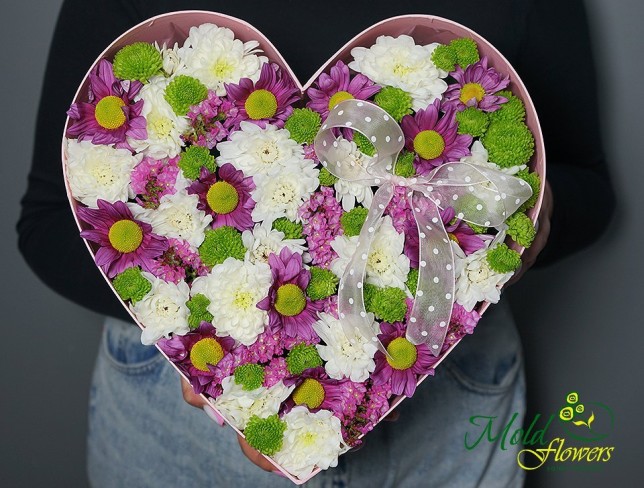Коробка с разноцветными хризантемами Фото